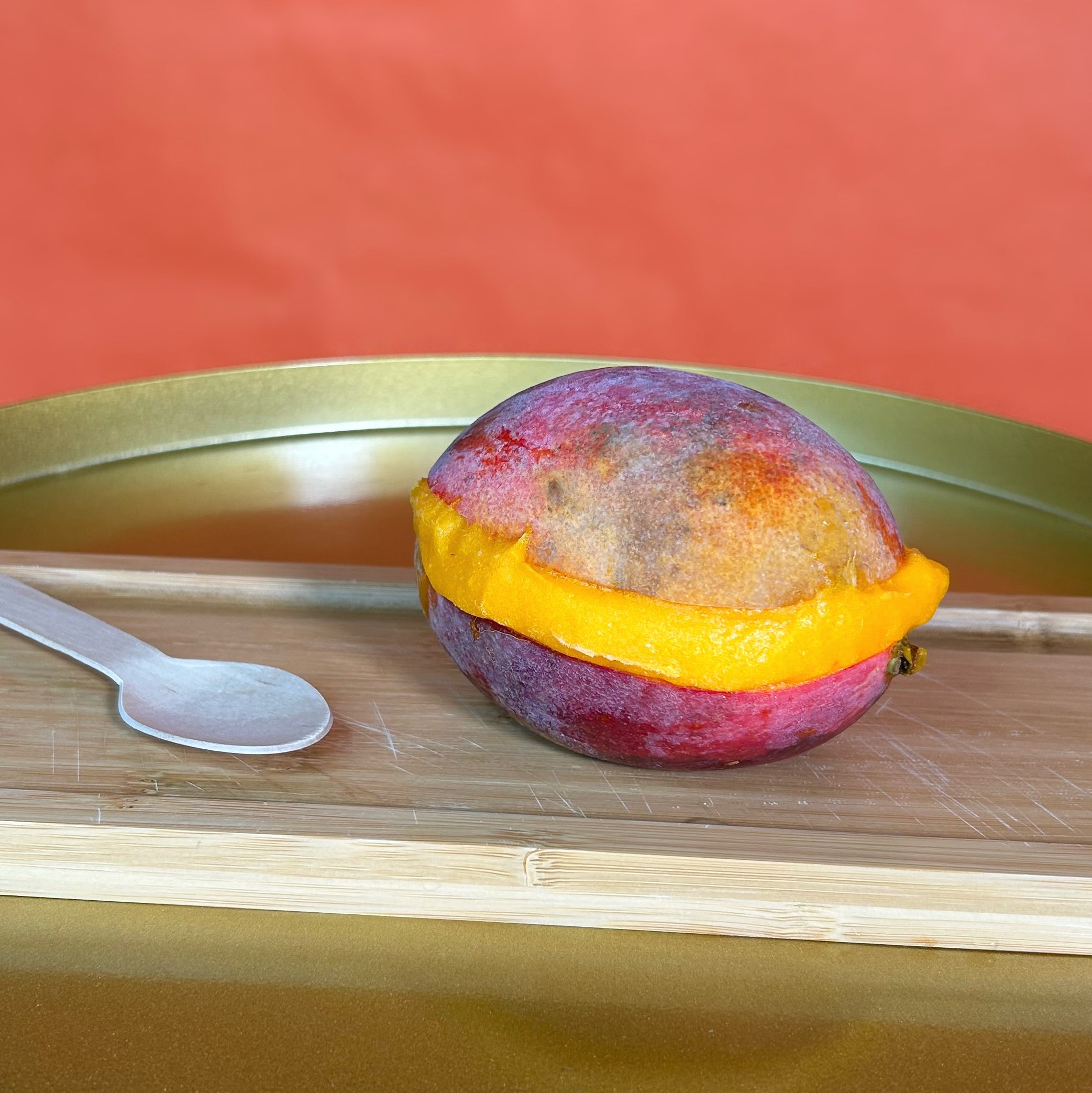 MANGO SORBET