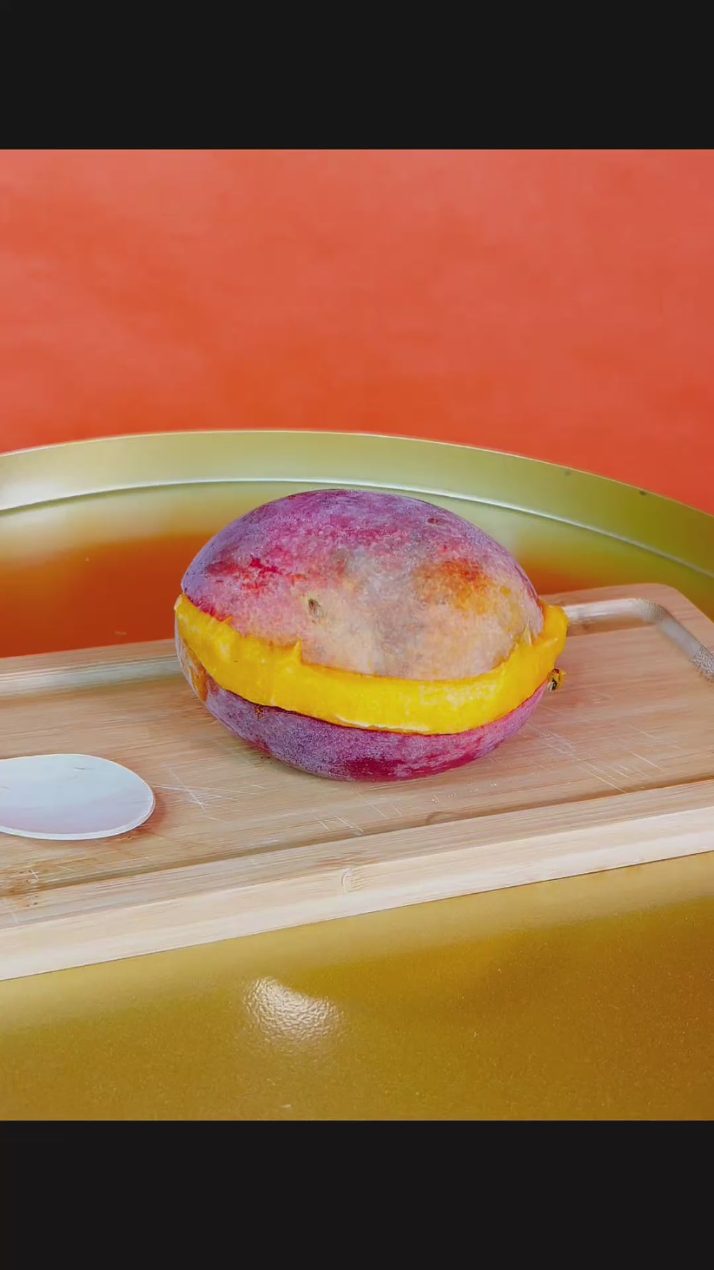 MANGO SORBET